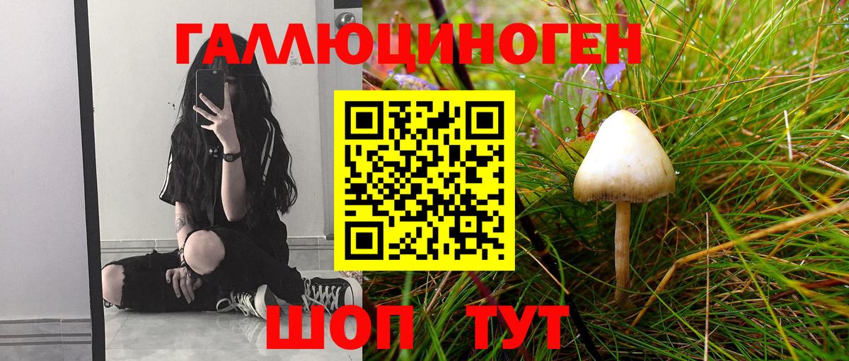 Псилоцибиновые грибы ЛСД  Вход с VPN  Кувандык 